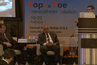 4TS Top to Toe Transcatheter Solutions Conference - 2015 Gallery