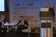 4TS Top to Toe Transcatheter Solutions Conference - 2016 Gallery